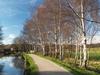 The Silver Birches Rodley